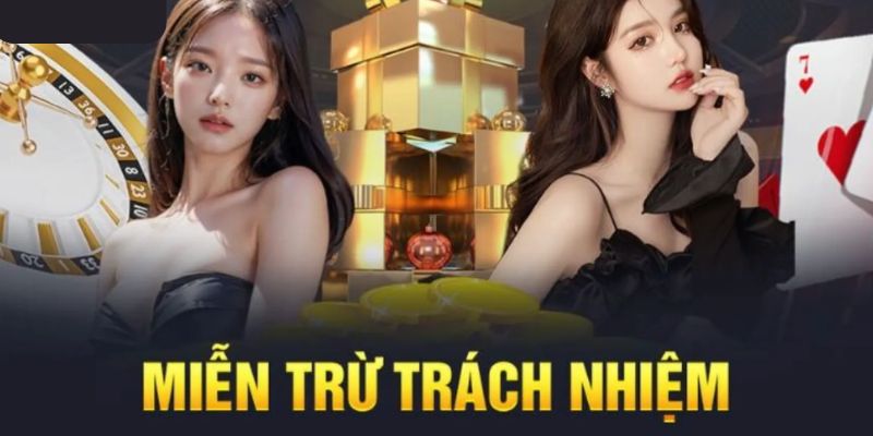 Trách nhiệm của người dùng với chính sách miễn trừ trách nhiệm 